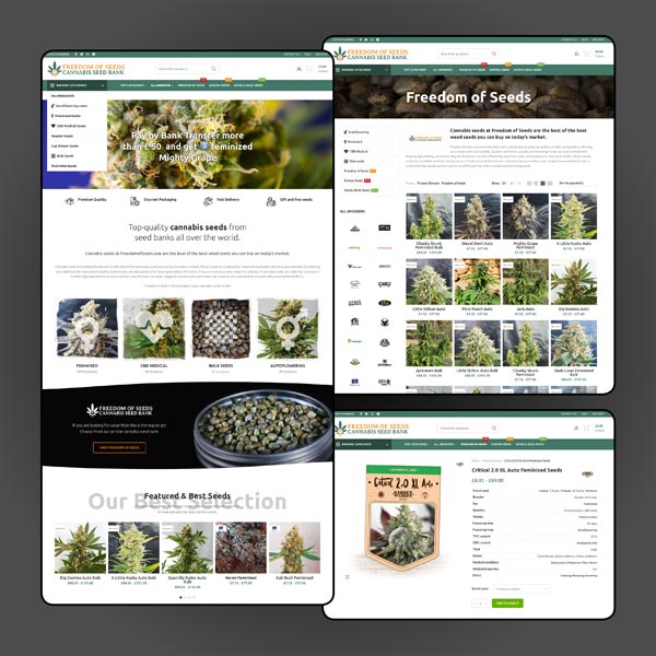 FOS - Diseño web en WordPress, diseño de tienda online