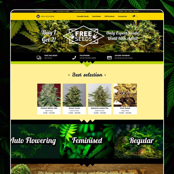 Seed Bank - Diseño de página web